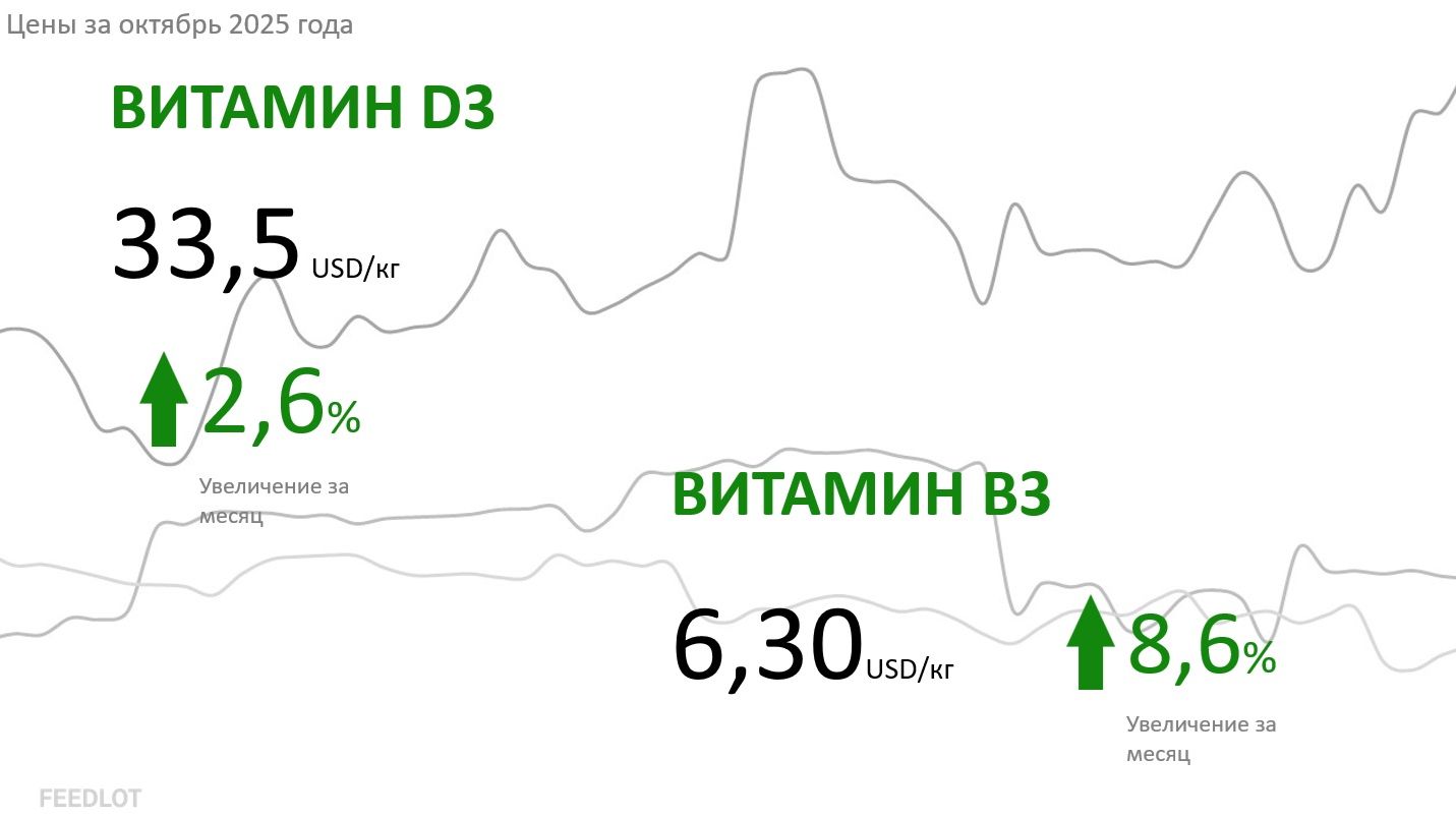 FEEDLOT Мониторинг цен на кормовые компоненты в октябре 2025