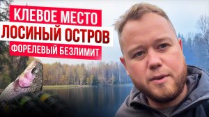 #24 КЛЕВОЕ МЕСТО ЛОСИНЫЙ ОСТРОВ. РЫБАЛКА НА ФОРЕЛЬ ОСЕНЬЮ В ДОЖДЬ.