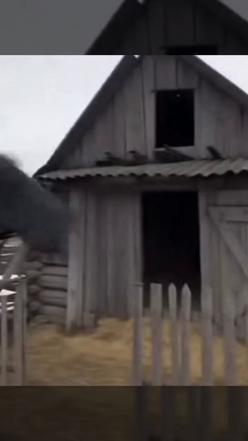 Старый дедушка в деревне скачет на батуте как Бэтмен!. смотреть онлайн