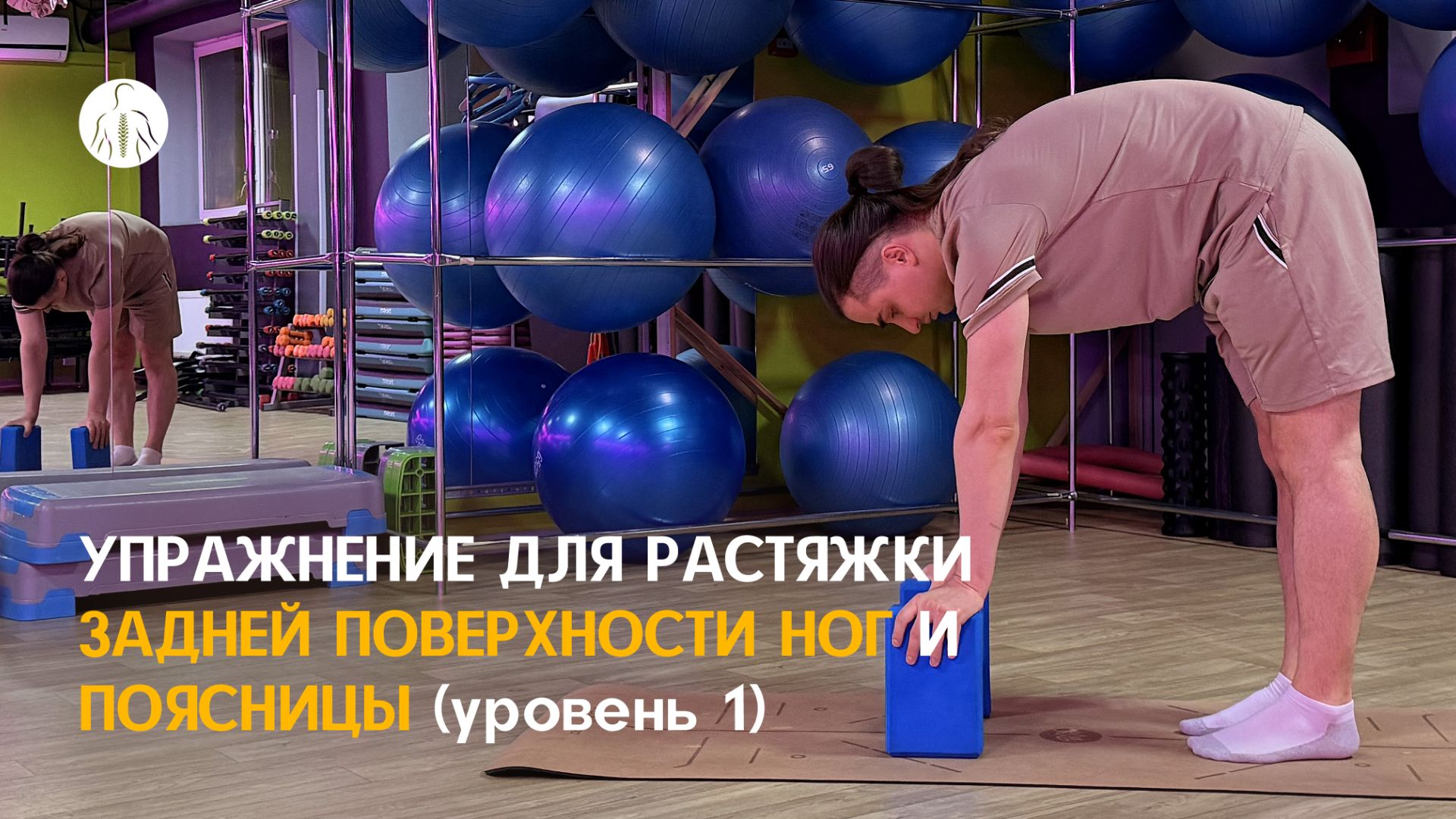 Мобилизация поясницы и задней поверхности ног смотреть онлайн