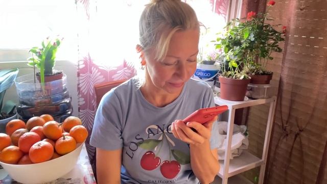 IMG_20251113_000905_563.mp4 смотреть онлайн