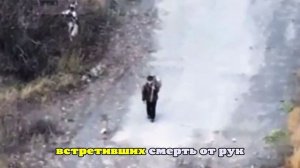 «Царьград»: Разорванные дронами ВСУ жители Купянска прятались более полугода