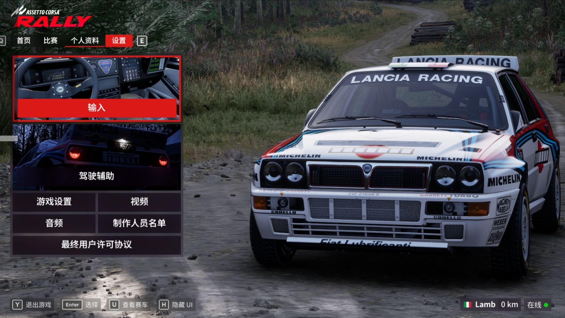 Микрообзор! Asetto Corsa RALLY!  + Fps Test AMD Ryzen 9950x3d+rtx5070ti !