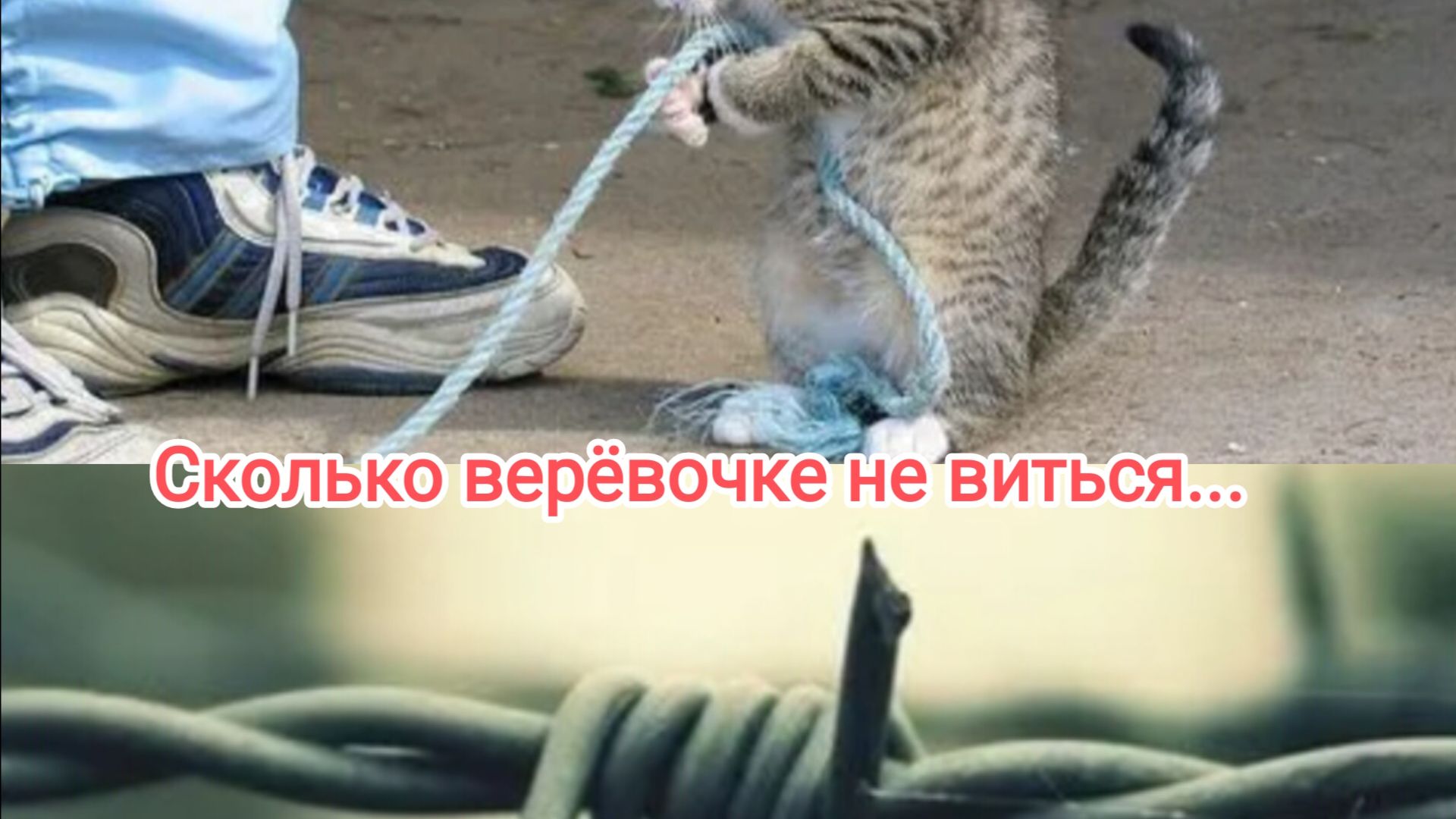 Сколько верëвочке не виться...