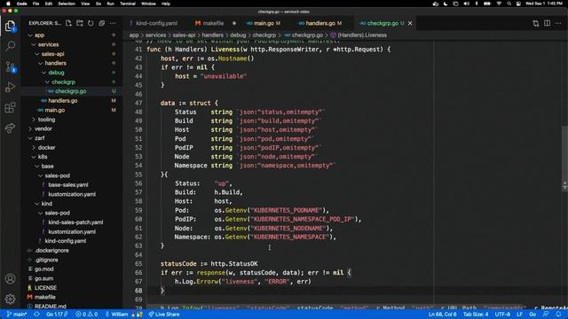 5.2 - Add a Readiness, Liveness and Test Handler смотреть онлайн