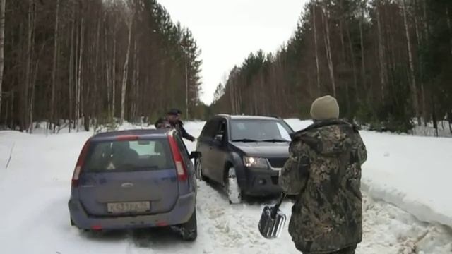 встреча на лесной дороге