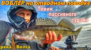 ЛОВЛЯ СУДАКА НА ОТВОДНОЙ ПОВОДОК С ВОБЛЕРОМ/НОЧНОЙ СУДАК/РЫБАЛКА НА ВОЛГЕ/ОСЕННЯЯ РЫБАЛКА/САМАРА