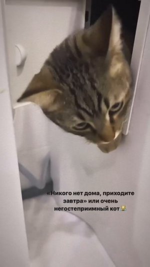 Вы кто такие?