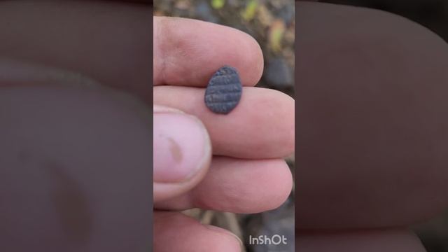 Эквинокс-900 в деле#ходим бродим ищем #