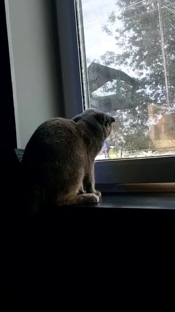 Я кого-то про Синицы, а для Маруси телевизор смотреть онлайн