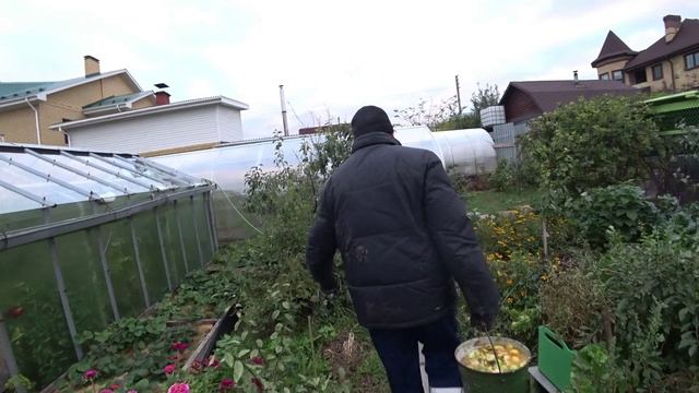 Влог от 20.09.2021 смотреть онлайн