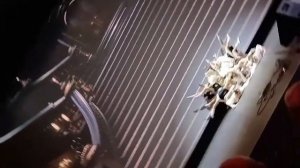 Кинофестиваль «Кино без барьеров» 2025