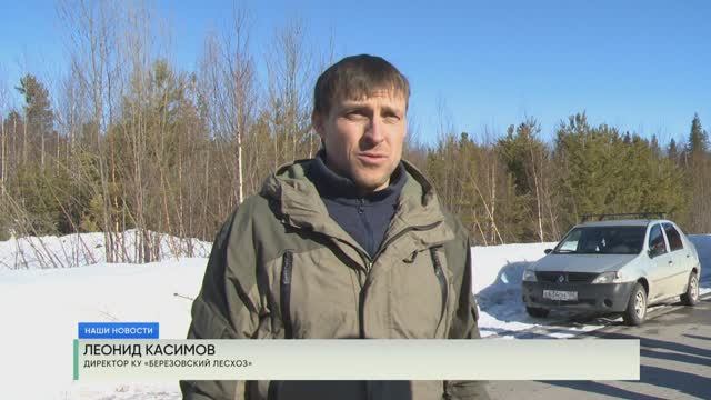 Учения по тушению лесных пожаров смотреть онлайн