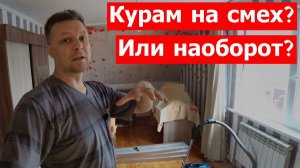 В этой стране даже курям хорошо!