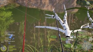 ПУТЬ С НУЛЯ В РР4 ▷ Хороший улов Ерша-Носаря на маховые удилища! Русская рыбалка 4