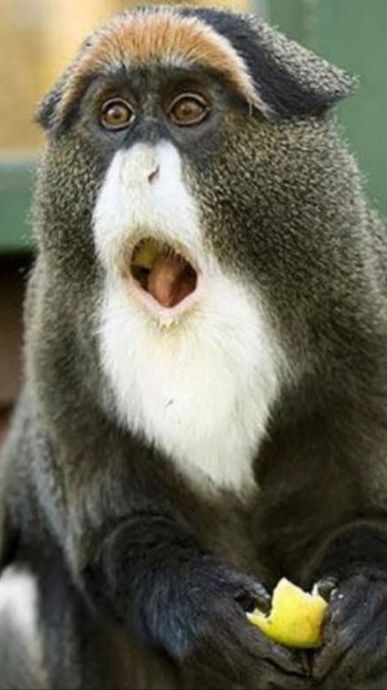 Отличные ребята. смотреть онлайн