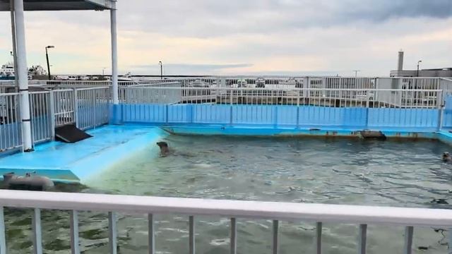 Маширо! Цуки! Экскурсия по Токкари-центру