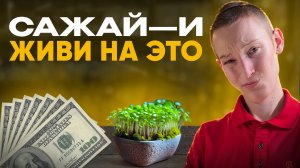 Заработать 200к в комнате!? Легко!