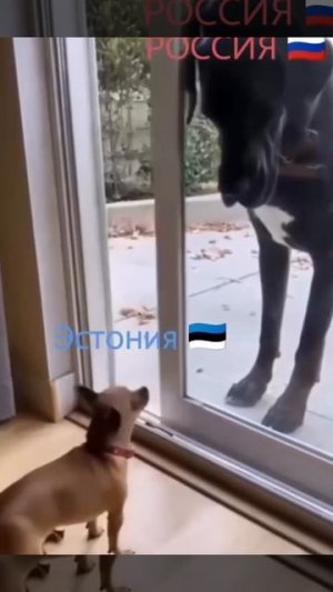 Прибалтика против России