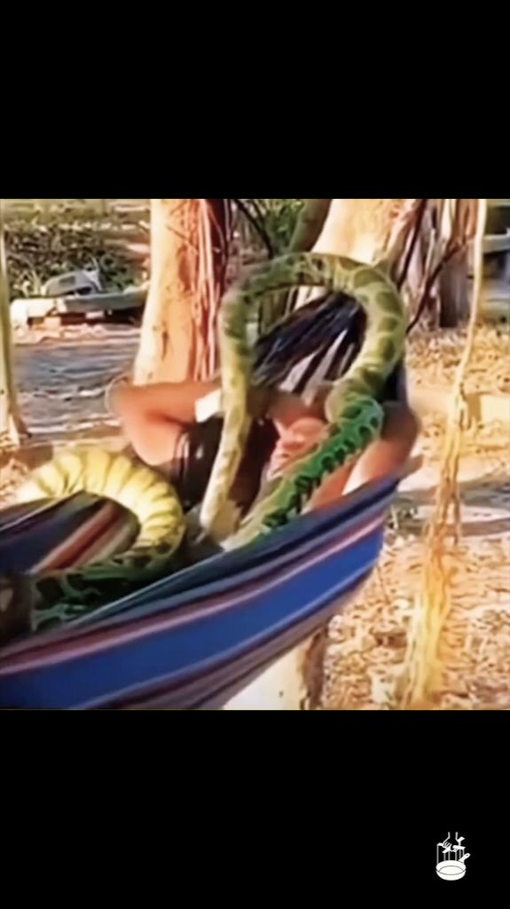 Борьба с зеленым змием смотреть онлайн