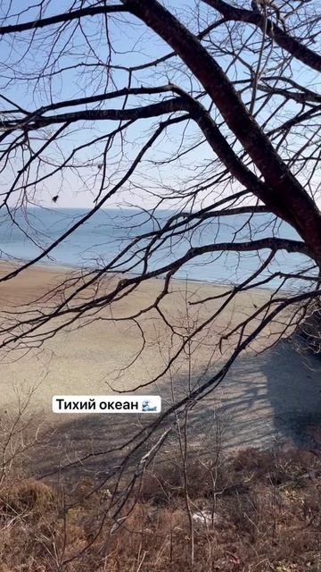 Тихий океан 🌊😍