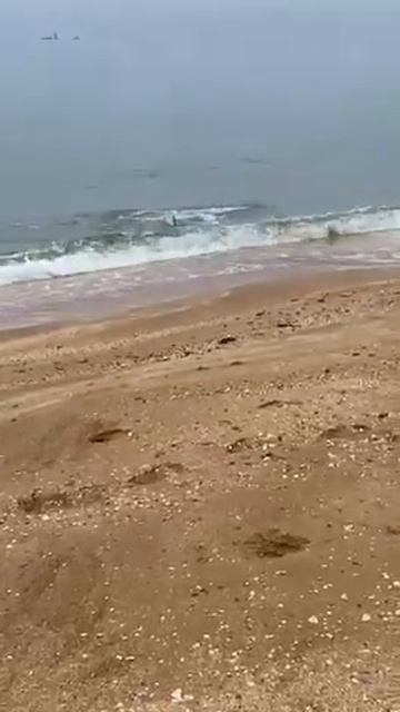 ГПЗ «Опукский». смотреть онлайн