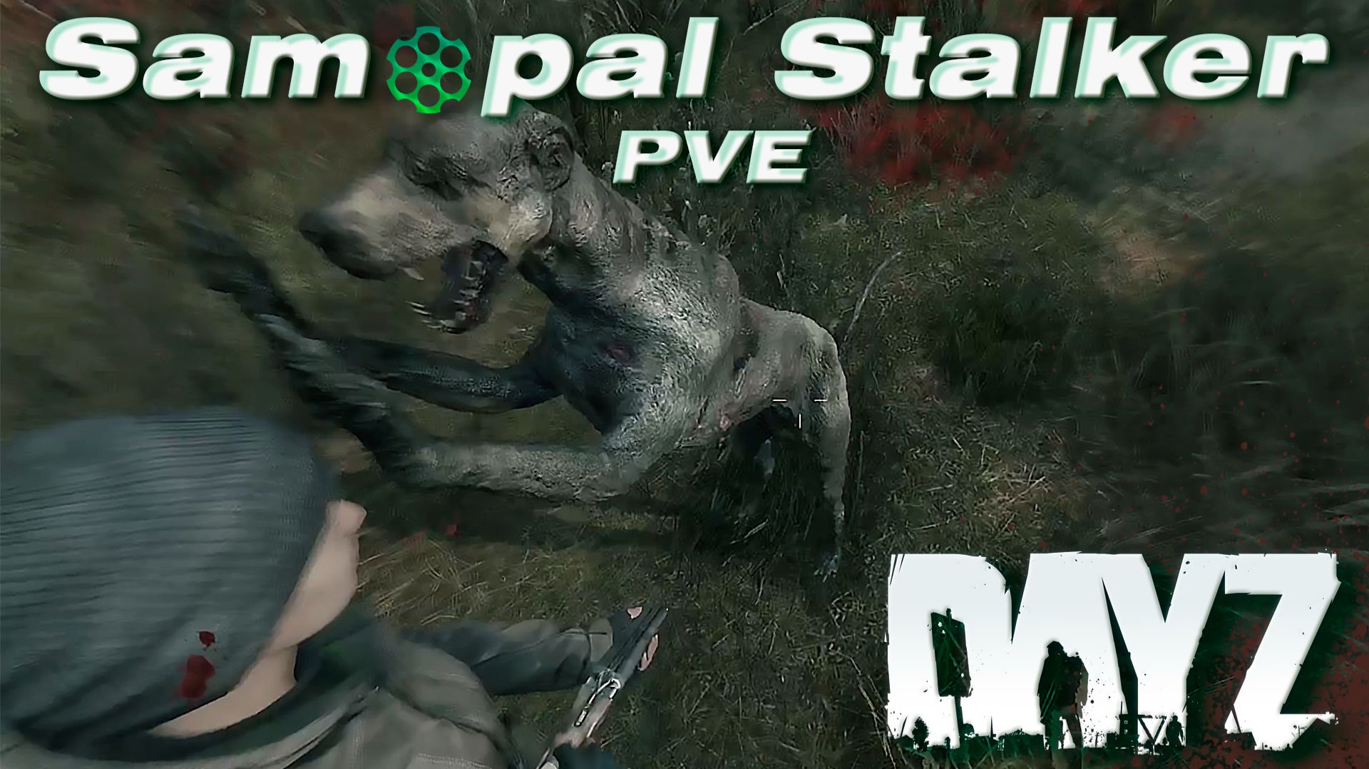 DAYZ PVE | ПРОЕКТ SAMOPAL STALKER: ДНЕВНИК ВЫЖИВШЕГО, ЧАСТЬ 1 смотреть онлайн
