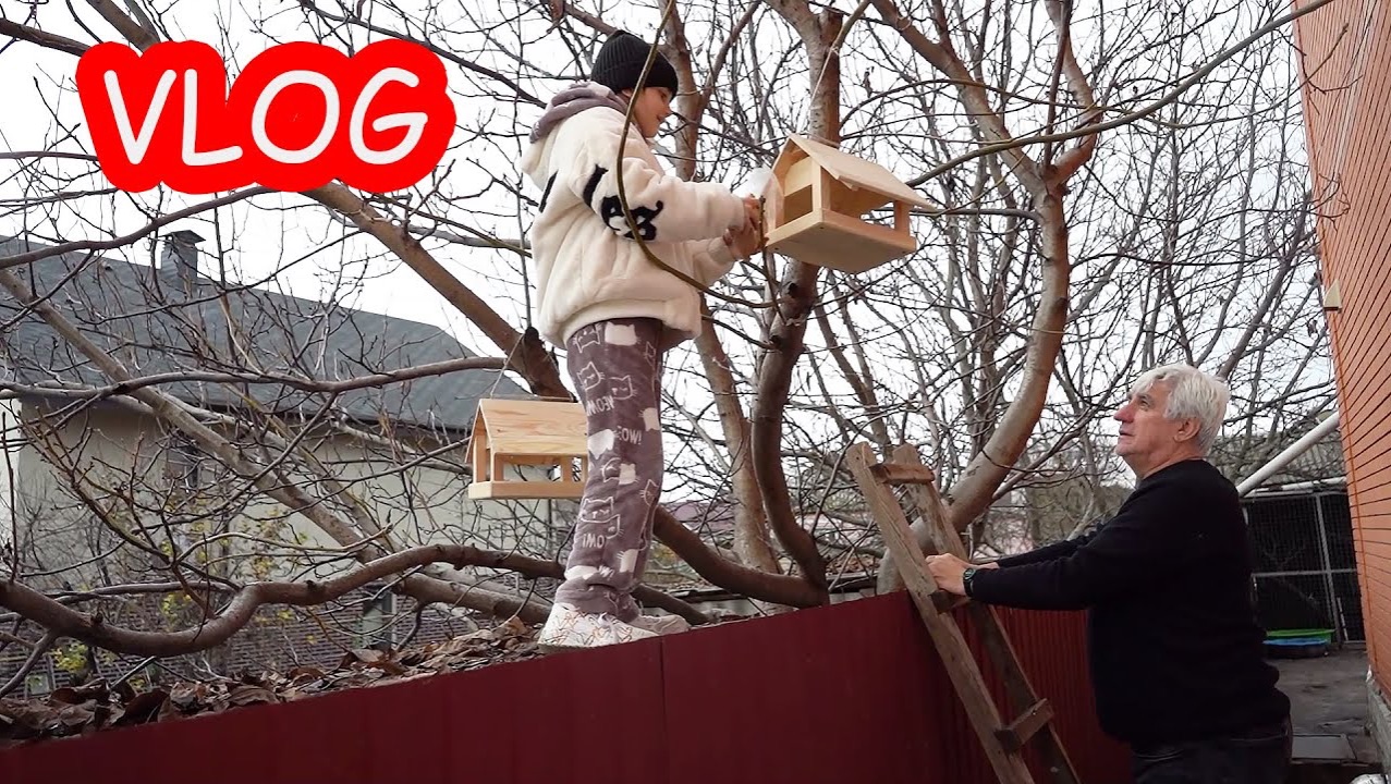 VLOG Алиса и папа поехали в Лондон. Вешаем птичкам кормушки смотреть онлайн