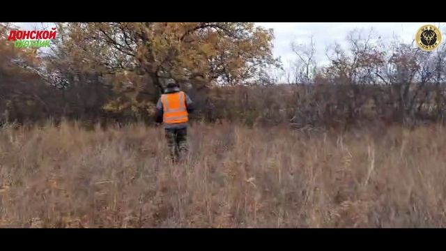 Охота на лося - подход к трофею смотреть онлайн