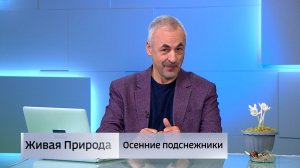 Живая природа. "Осенние подснежники"