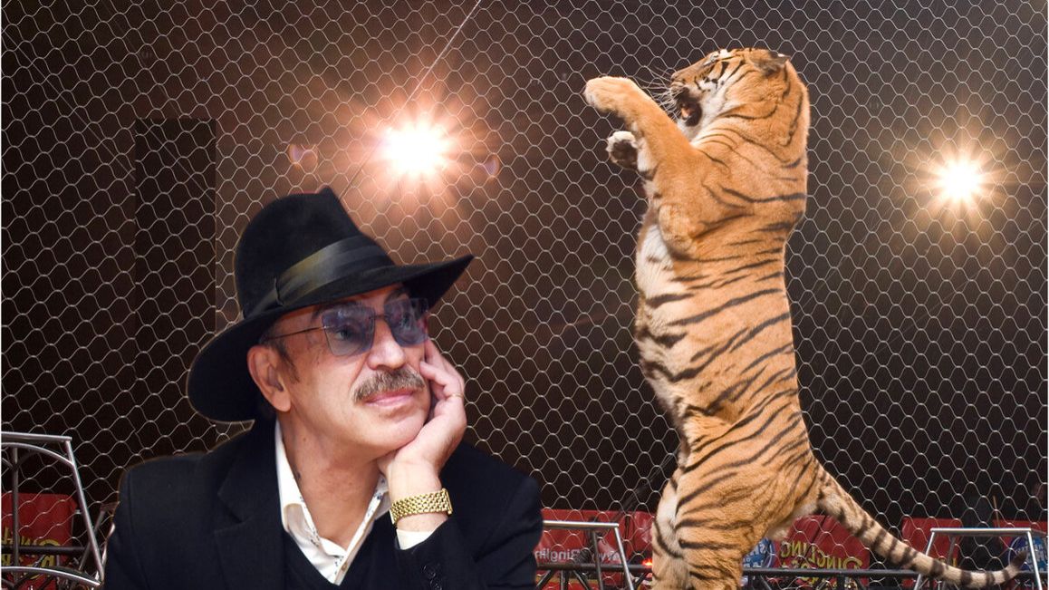 Михаил Боярский Песня дрессировщика ремикс ап и тигры у ног моих сели REMIX Dj YouRA Музыка хит 90х смотреть онлайн