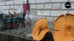 Пневматическая винтовка Hatsan 1000S кал. 5,5 мм. Продается свободно с 18 лет без лицензии.