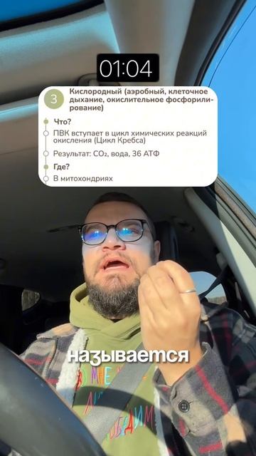 Энергетический обмен за 2 минуты смотреть онлайн