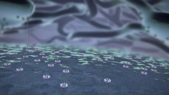 _The Inner Life Of The Cell_ Animated By John Liebler СТРОЕНИЕ КЛЕТКИ