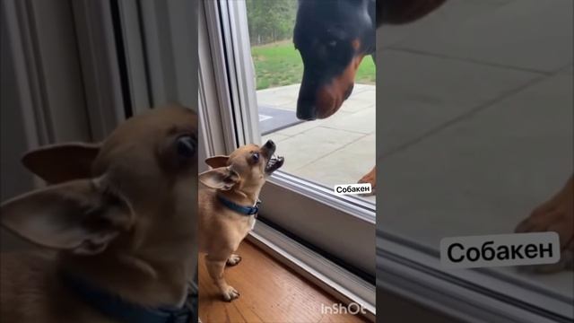 хорошего настроения 😅 смотреть онлайн