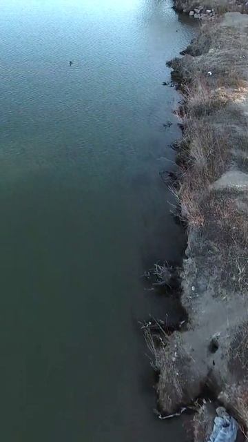 drone_capture смотреть онлайн