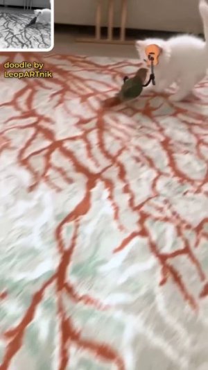 Попугай гитарист