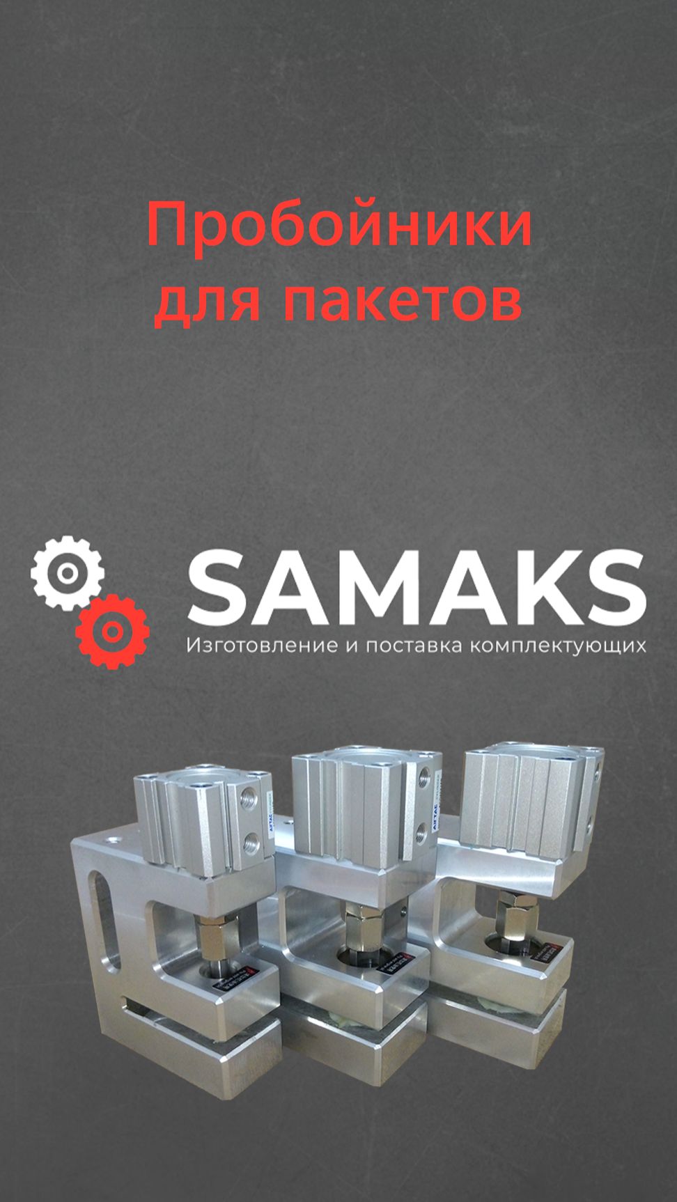 Пробойник для пакетов