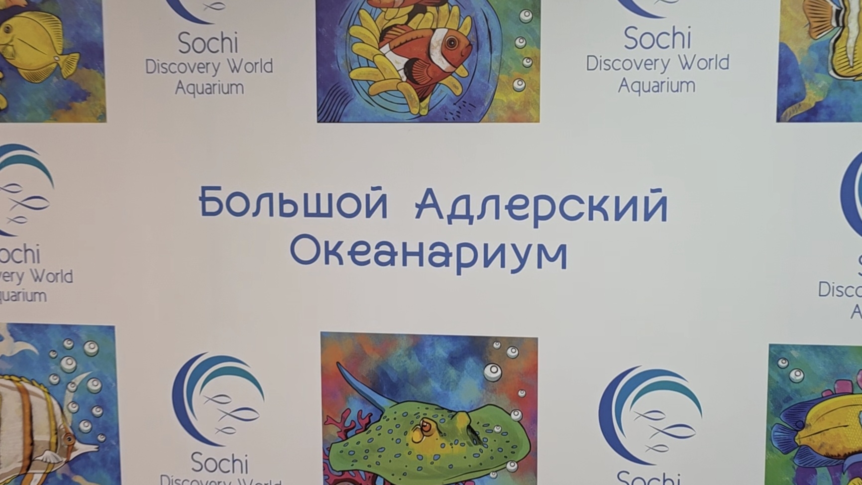 Океанариум Sochi Discovery World Aquarium, Сочи (2025) смотреть онлайн