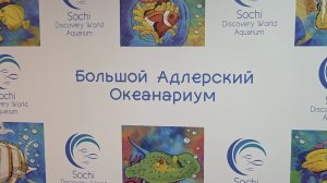 Океанариум Sochi Discovery World Aquarium, Сочи (2025)
