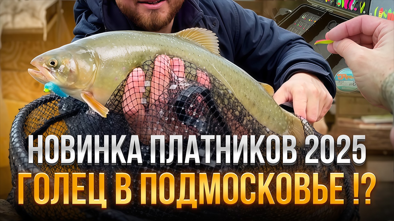 #31 ПРИЕХАЛ ПОЛОВИТЬ ФОРЕЛЬ ,А ПОЙМАЛ ЕГО.. СПАРКТИК ИЛИ ГОЛЕЦ. НОВИНКА НА ПЛАТНИКАХ. смотреть онлайн