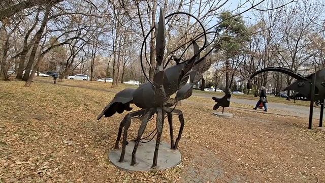 Знаки Зодиака в Хабаровске. Часть 1 смотреть онлайн