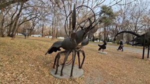 Знаки Зодиака в Хабаровске. Часть 1