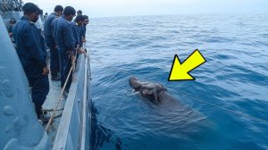 ЭТО НЕ КИТ! 🐋 Моряки УВИДЕЛИ ЭТО В ВОДЕ и ЗАОРАЛИ от УЖАСА! НИКТО НЕ ОЖИДАЛ ТАКОГО