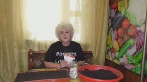 ГРЯДКА - ЛЕНИВКА для томатов. Как выбрать сорт? Посмотрите на эту грядку!