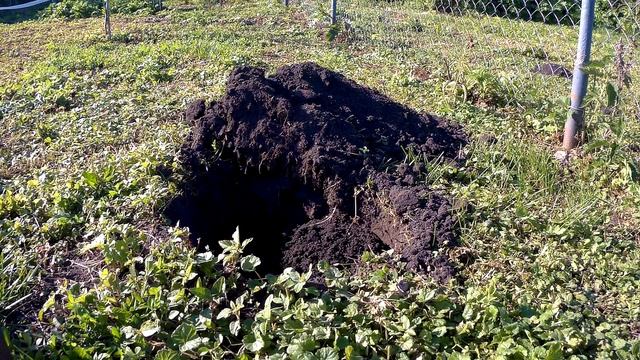 СЛЕПЫШ?! Давай, до свидания!