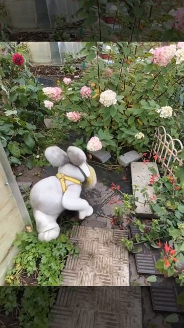 2025-09-29 15-26-26 смотреть онлайн