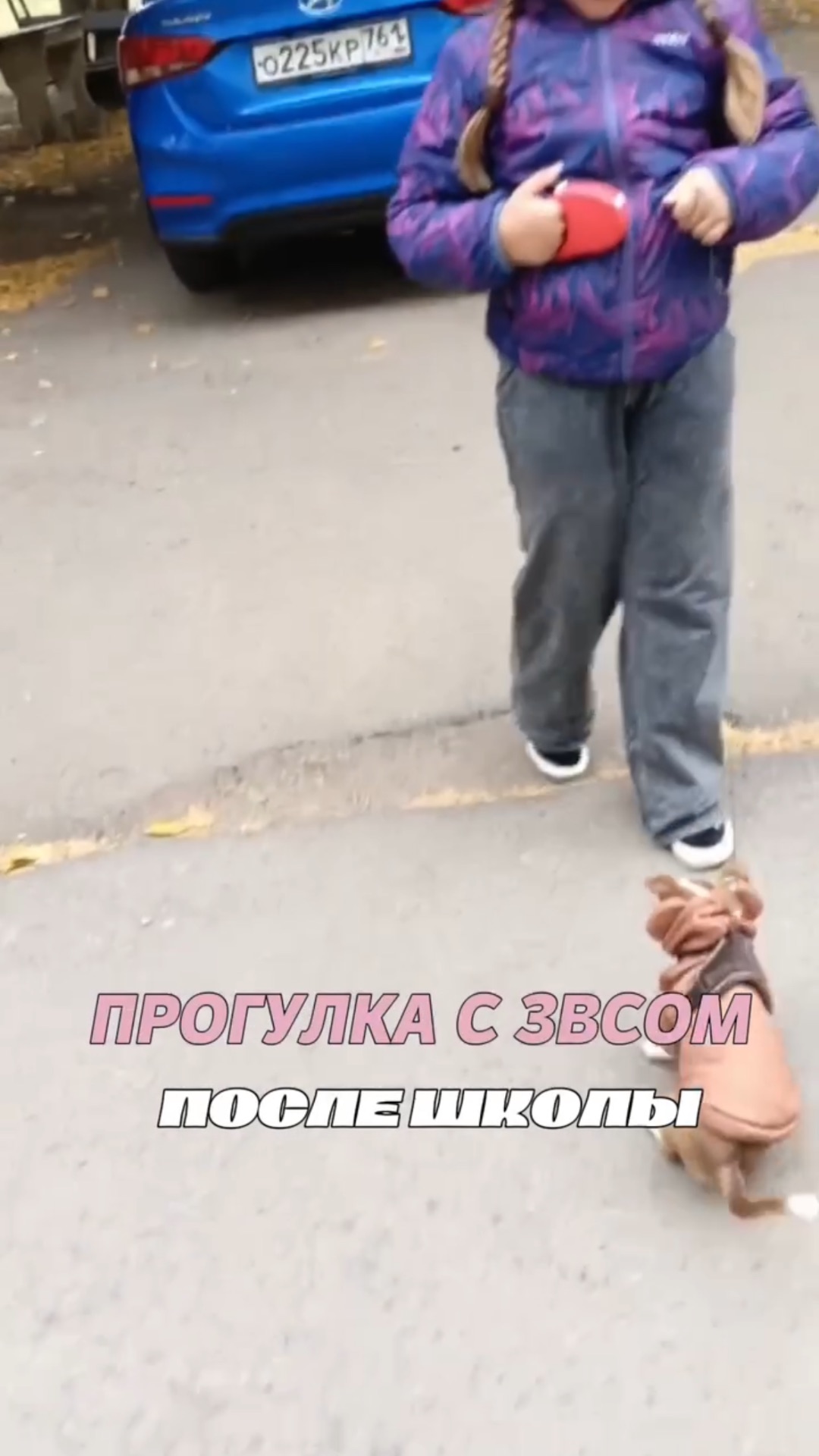 Прогулка с Зевсом после школы смотреть онлайн
