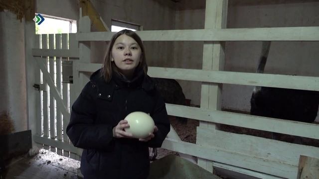 #КОМИДВИЖ. 13.11.2025 смотреть онлайн