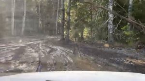 Приключения лесные УАЗ ПАТРИОТ